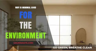 Minimalism's Eco-Impact: How Less Consumption Benefits Our Planet