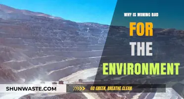 Mining's Environmental Impact: Destruction, Pollution, and Ecosystem Loss Explained