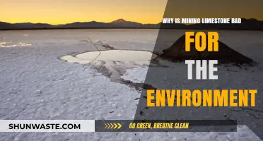 Limestone Mining's Environmental Impact: Destruction, Pollution, and Ecosystem Loss