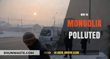 Mongolia's Pollution Crisis: Causes, Impacts, and Urgent Solutions Needed