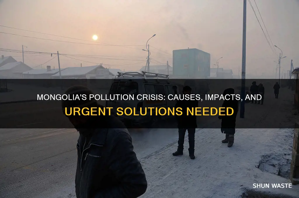why is mongolia polluted