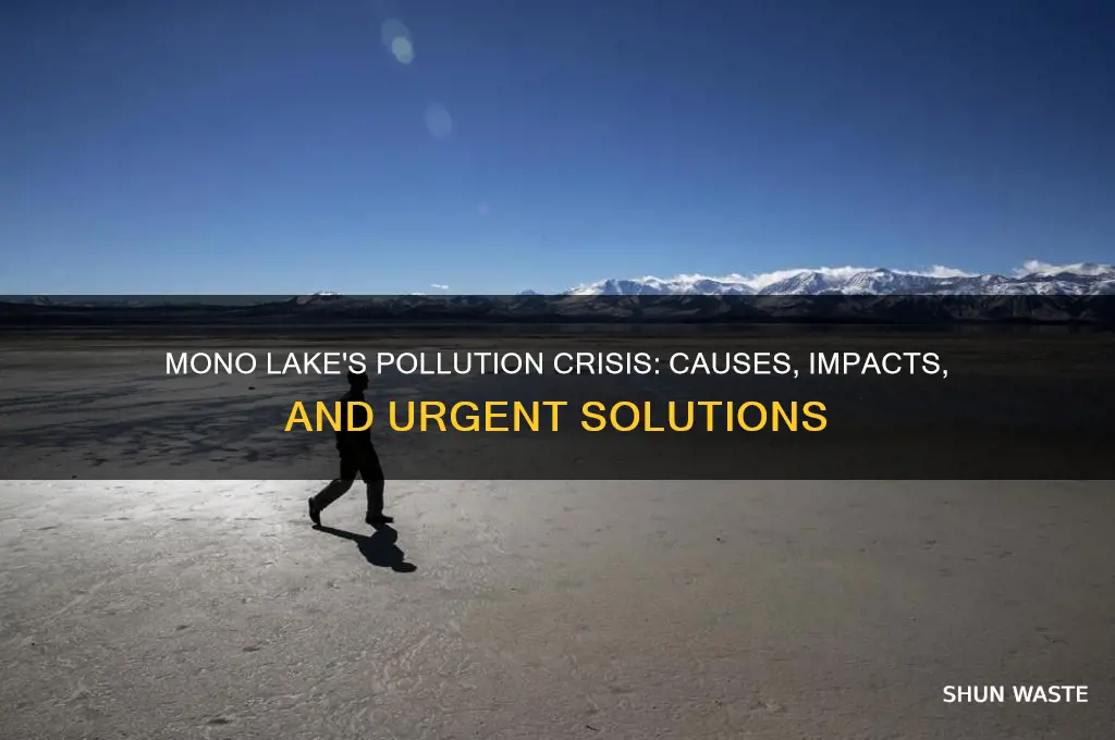 why is mono lake polluted