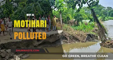Unveiling Motihari's Pollution Crisis: Causes, Impacts, and Urgent Solutions