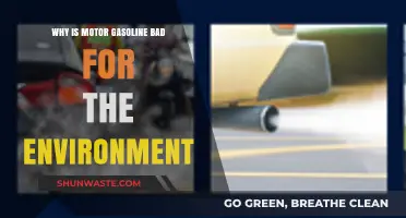 Motor Gasoline's Environmental Impact: Pollution, Climate Change, and Ecosystem Harm