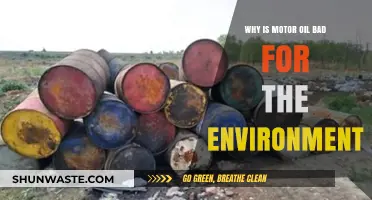 Motor Oil's Environmental Impact: Pollution, Wildlife Harm, and Ecosystem Threats