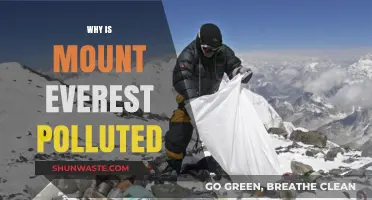 Mount Everest's Pollution Crisis: Causes and Urgent Solutions Needed