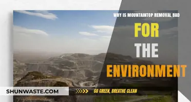 Mountaintop Removal's Devastating Environmental Impact: A Critical Analysis