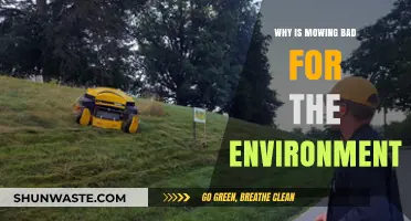 Mowing's Environmental Impact: Harmful Effects on Ecosystems and Wildlife