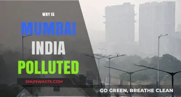 Mumbai's Pollution Crisis: Causes, Impact, and Urgent Solutions Needed