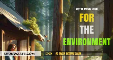 Harmonizing Nature: How Music Positively Impacts Our Environment
