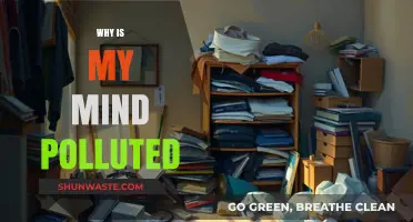 Clearing Mental Clutter: Understanding Why Your Mind Feels Polluted