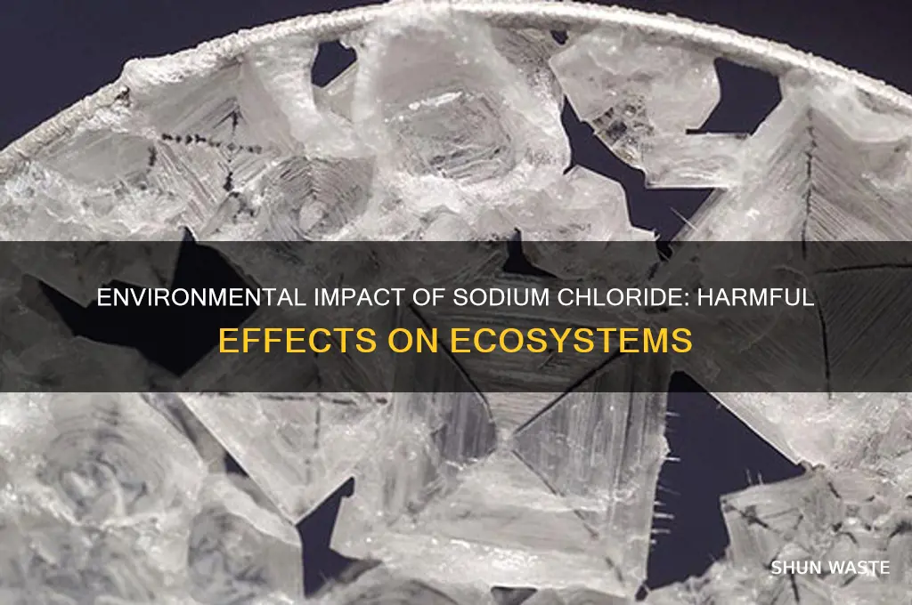 why is nacl bad for the environment