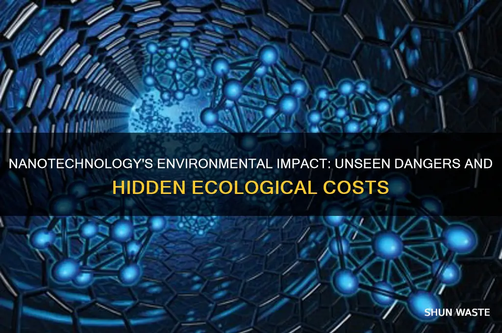 why is nanotechnology bad for the environment
