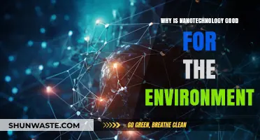 Nanotechnology's Eco-Impact: Sustainable Solutions for a Greener Future