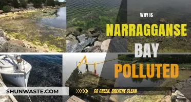 Narragansett Bay Pollution: Causes, Impacts, and Solutions Explained