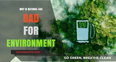 Natural Gas's Hidden Costs: Environmental Impacts and Climate Concerns