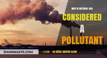 Natural Gas: A Pollutant in Disguise? Uncovering Its Environmental Impact