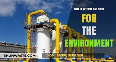 Natural Gas: A Cleaner Energy Source for a Greener Future