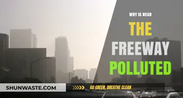 Freeway Pollution: Uncovering the Causes of Nearby Air Contamination
