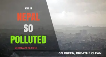 Nepal's Pollution Crisis: Causes, Impacts, and Urgent Solutions Needed
