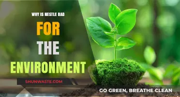 Nestlé's Environmental Impact: Uncovering Harmful Practices and Unsustainable Choices