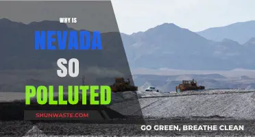 Nevada's Pollution Crisis: Uncovering the Causes and Consequences