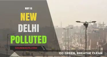 Unbreathable Air: Understanding the Causes of New Delhi's Pollution Crisis