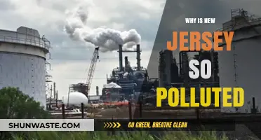New Jersey's Pollution Crisis: Causes, Impacts, and Urgent Solutions