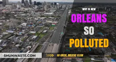 New Orleans' Pollution Crisis: Causes, Impacts, and Urgent Solutions