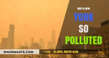 Why New York's Air Quality Struggles: Pollution Causes and Solutions