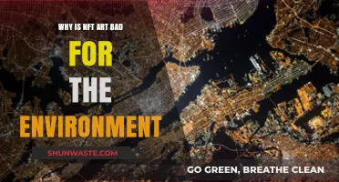 NFT Art's Environmental Impact: Uncovering the Hidden Ecological Costs