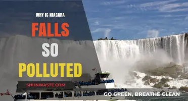 Niagara Falls Pollution Crisis: Causes, Impacts, and Urgent Solutions