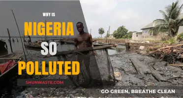 Nigeria's Pollution Crisis: Causes, Impacts, and Urgent Solutions Needed