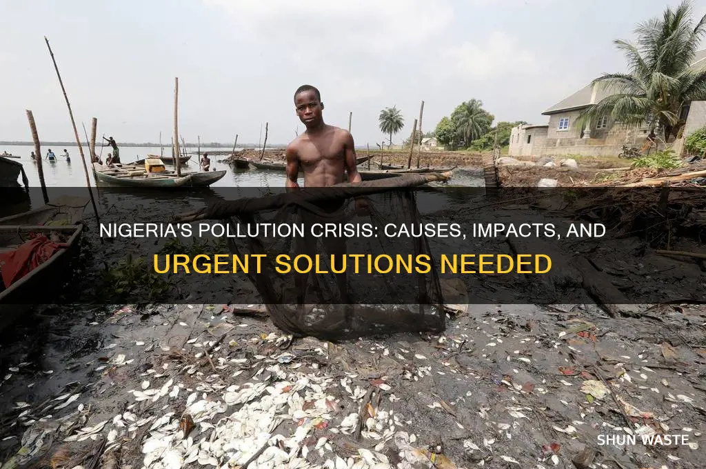 why is nigeria so polluted