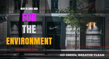Nike's Environmental Impact: Uncovering the Brand's Harmful Practices