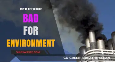 Nitric Oxide's Environmental Impact: Harmful Effects and Concerns Explained