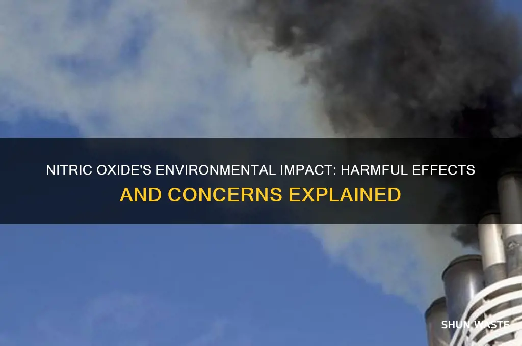 why is nitfic oxide bad for environment