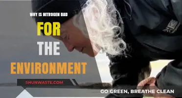 Nitrogen's Environmental Impact: Uncovering Its Harmful Effects on Ecosystems