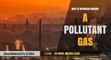 Nitrogen Dioxide: Understanding Its Harmful Impact as a Pollutant Gas