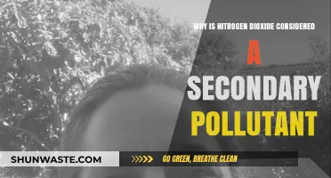 Understanding Nitrogen Dioxide: A Secondary Pollutant's Formation and Impact
