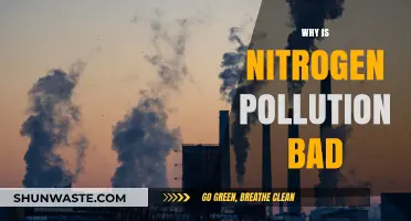 Nitrogen Pollution's Harmful Impact: Understanding Its Environmental and Health Risks