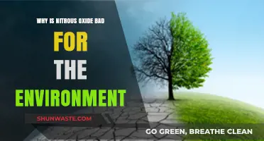 Nitrous Oxide's Environmental Impact: A Hidden Climate Change Threat