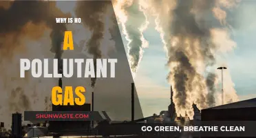 Why Nitrogen Oxides Are Harmful Pollutant Gases in Our Atmosphere