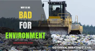 Why Saying No to Waste Benefits Our Environment and Future