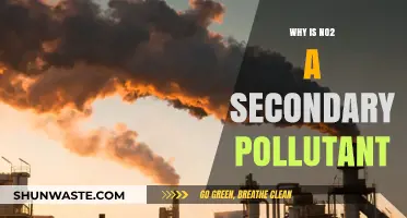 Understanding NO2: The Role and Impact of a Secondary Pollutant