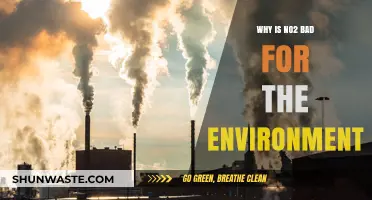 Nitrogen Dioxide's Harmful Impact on Our Environment Explained