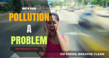 Noise Pollution's Impact: Understanding the Silent Threat to Our Health