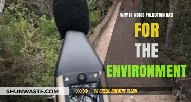 Noise Pollution's Harmful Impact on Ecosystems and Environmental Health