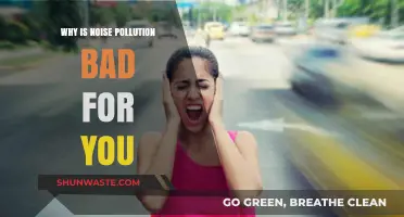 Noise Pollution's Hidden Dangers: How It Harms Your Health and Well-being