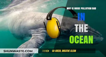 Ocean Noise Pollution: Harmful Impacts on Marine Life and Ecosystems